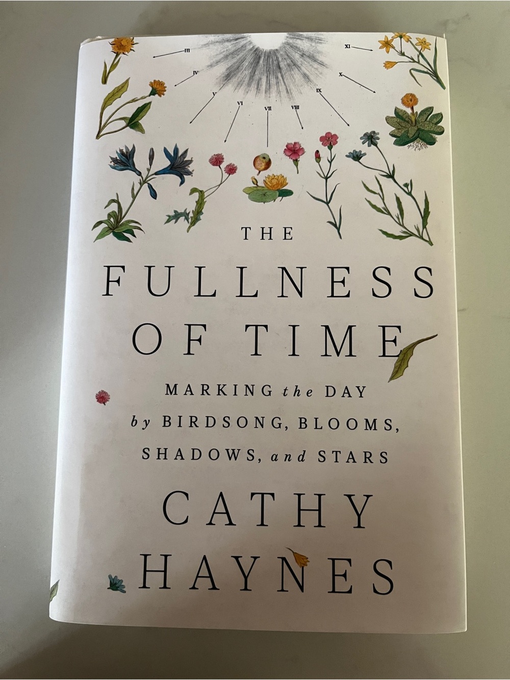 The Fullness Of Time By Cathy Haynes Hardcover Book